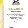 Powiększ obraz: certificate 7