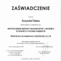 Powiększ obraz: certificate 8