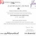 Powiększ obraz: certificate 2