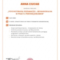 Powiększ obraz: certificate 22