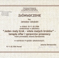 Powiększ obraz: certificate 10