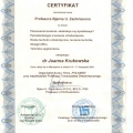 Powiększ obraz: certificate 7
