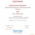 Powiększ obraz: certificate 1