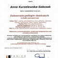 Powiększ obraz: certificate 5