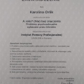 Powiększ obraz: certificate 10
