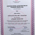 Powiększ obraz: certificate 4