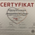 Powiększ obraz: certificate 5