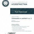 Powiększ obraz: certificate 5