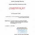 Powiększ obraz: certificate 6