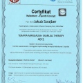 Powiększ obraz: certificate 7