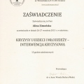Powiększ obraz: certificate 4