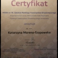 Powiększ obraz: certificate 7