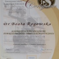 Powiększ obraz: certificate 6