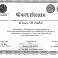 Powiększ obraz: certificate 3