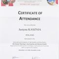 Powiększ obraz: certificate 11