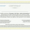 Powiększ obraz: certificate 2