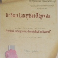 Powiększ obraz: certificate 8