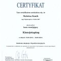 Powiększ obraz: certificate 9
