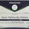 Powiększ obraz: certificate 6