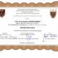 Powiększ obraz: certificate 30