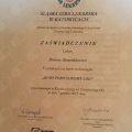 Powiększ obraz: certificate 1