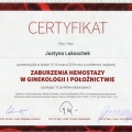 Powiększ obraz: certificate 2
