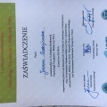 Powiększ obraz: certificate 11