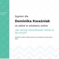 Powiększ obraz: certificate 111