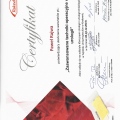 Powiększ obraz: certificate 5