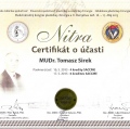 Powiększ obraz: certificate 21