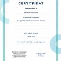 Powiększ obraz: certificate 47