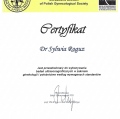 Powiększ obraz: certificate 3