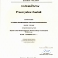 Powiększ obraz: certificate 17