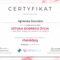 Powiększ obraz: certificate 6