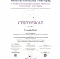 Powiększ obraz: certificate 21
