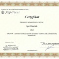 Powiększ obraz: certificate 11