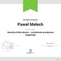 Powiększ obraz: certificate 13