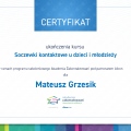 Powiększ obraz: certificate 33