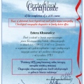 Powiększ obraz: certificate 11