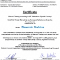 Powiększ obraz: certificate 26