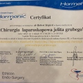 Powiększ obraz: certificate 5