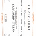 Powiększ obraz: certificate 8