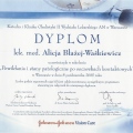 Powiększ obraz: certificate 8