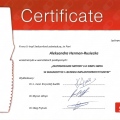 Powiększ obraz: certificate 12