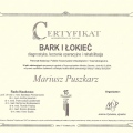 Powiększ obraz: certificate 12