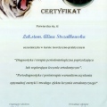 Powiększ obraz: certificate 10