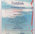 Powiększ obraz: certificate 3