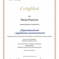 Powiększ obraz: certificate 4