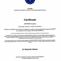 Powiększ obraz: certificate 2