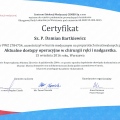 Powiększ obraz: certificate 7